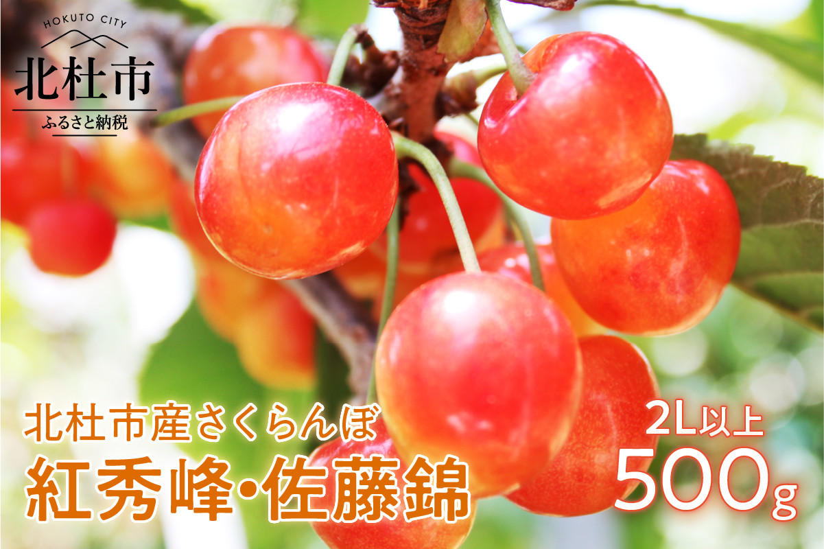 
                  【2026年発送】【佐藤錦・紅秀峰】さくらんぼ 2L以上（500g）　大玉 フルーツ くだもの 最高品種 甘い ジューシー 自慢のさくらんぼ 期間限定 加藤さくらんぼ農園
                