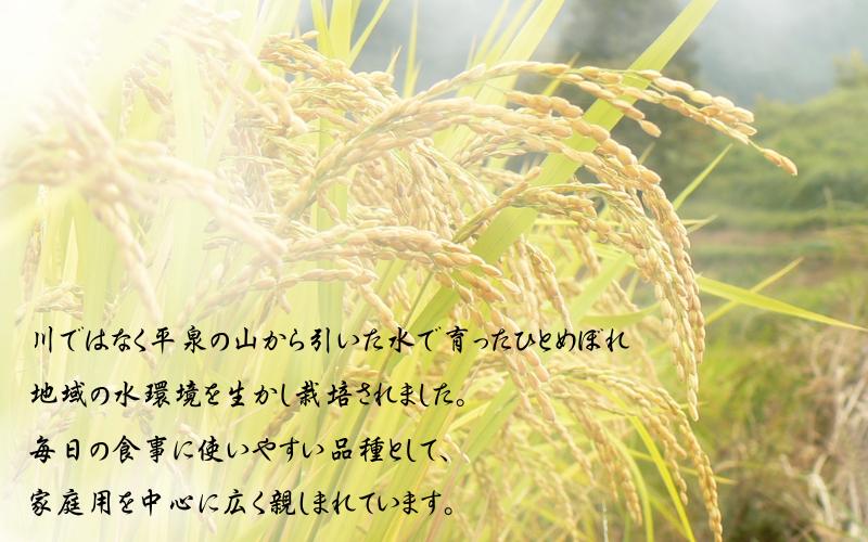 令和7年産 平泉町産 奥州平泉黄金米 玄米20kg / こめ コメ 米 お米 おこめ 玄米 ご飯 ごはん ライス 山水【aoki009C】