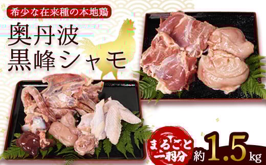 朝じめ本地鶏 京都奥丹波が育む 黒峰シャモ 1羽丸ごとセット | 蓮ヶ峯農場 朝じめ 国産 純国産鶏 シャモ 軍鶏 鶏肉 地鶏 もも むね 生肉 美味しい お取り寄せ 贅沢 京都奥丹波 綾部 京都