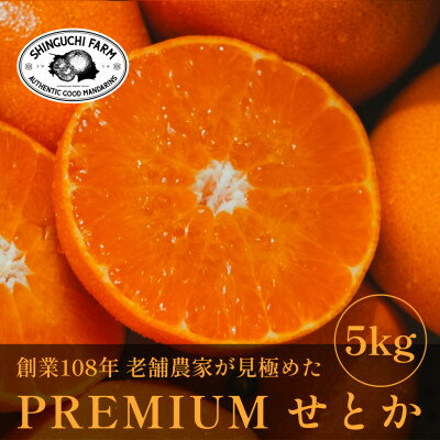 【ふるさと納税】【数量限定】老舗農家が見極めたプレミアム【せとか5kg】柑橘の大トロ【愛媛県川上産】【F70-98】【1671354】