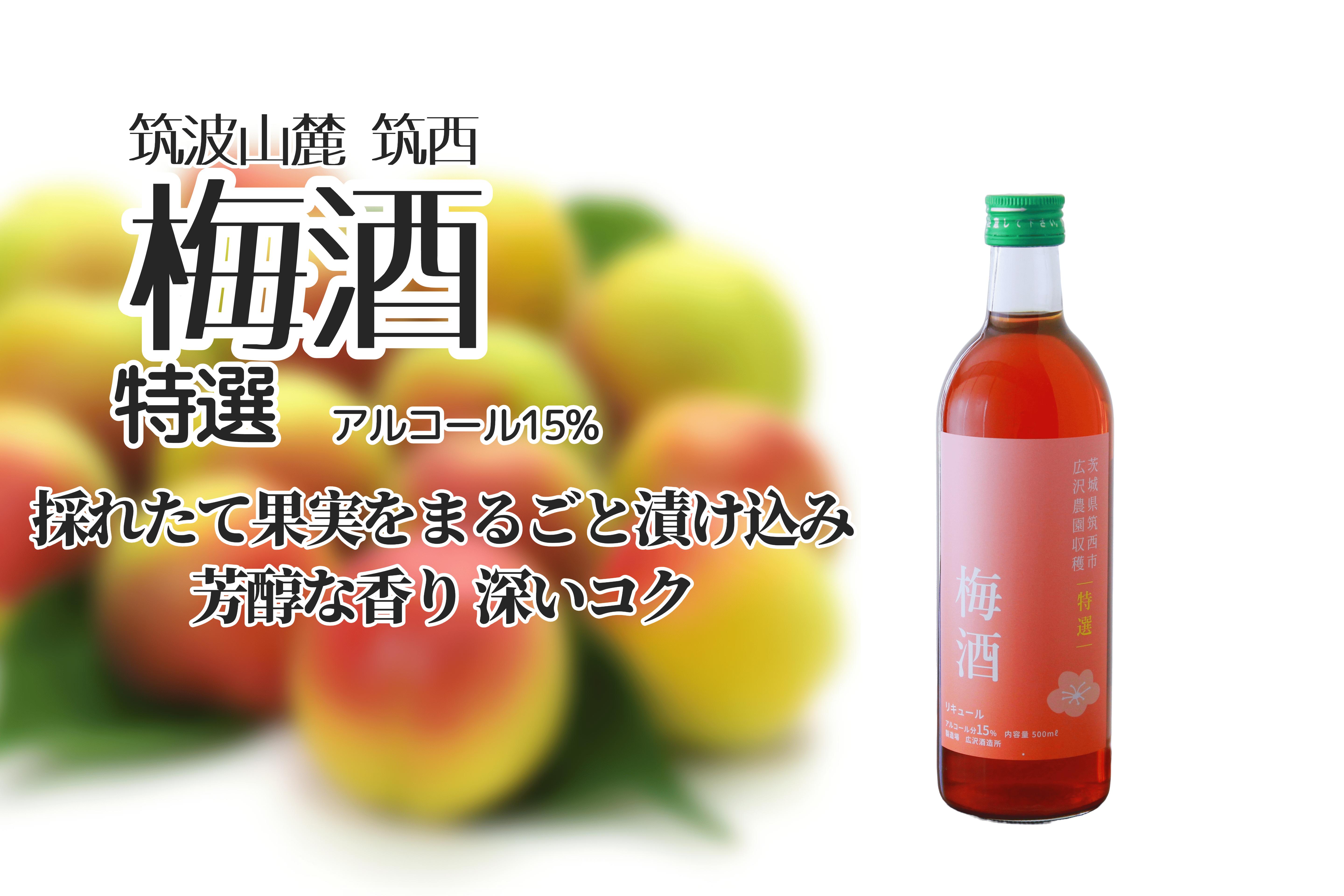 
【 特選 】 梅酒 アルコール 15％（ 500ml × 1本 ） 果実酒 お酒 酒 梅 うめ ウメ [DP002ci]
