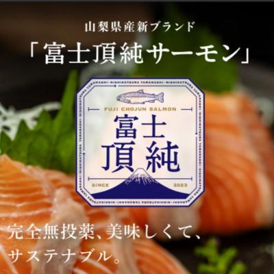 ふるさと納税 西桂町 【国産】富士山麓で育った「富士頂純サーモン」の塩こうじ漬け(焼き魚用)1パック4切れ入り |  | 02