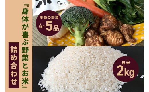 ＜白米 2kg＞『身体が喜ぶ野菜とお米』詰め合わせ おまかせセット 茨城県産 コシヒカリ 米 お米 ご飯 ごはん 栽培期間中農薬不使用 季節の野菜 セット 微生物農法 EM農法 有機栽培 産地直送 新鮮 家庭用 潮来はぐくみのもり 茨城県 潮来市 (A03-006)