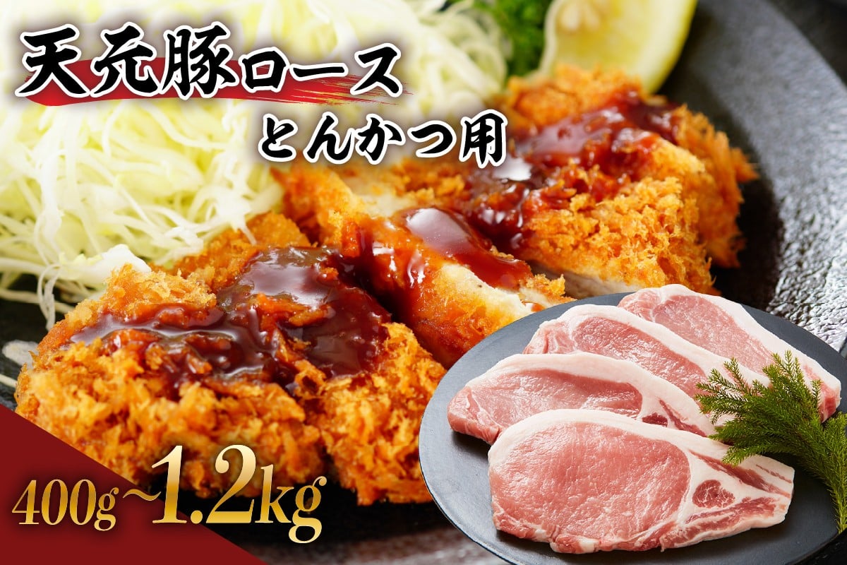 
                  豚肉 天元豚 ロース とんかつ用 400g ～ 1.2kg ブランド豚 精肉 ポーク スライス 中厚切り 国産 山形県 米沢市
                