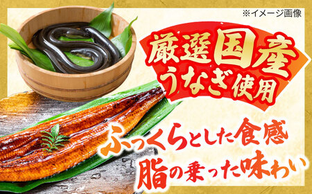 一力 うなぎ志ぐれセット 亀山市/株式会社安全 うなぎ 名物 送料無料[AMAW003]