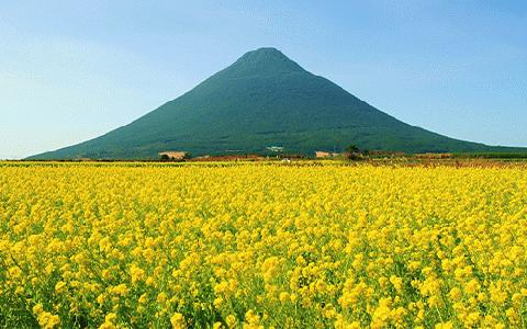 ≪返礼品なし≫鹿児島県指宿市への応援寄附金(1口：5,000円)005-155