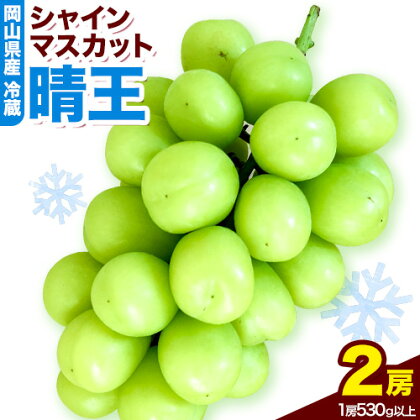 岡山県産　冷蔵シャインマスカット（1房530g以上2房入り）令和7年度産先行受付《11月中旬‐12月中旬頃出荷》【配送不可地域あり】---H-28a---