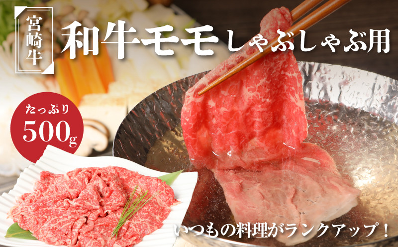 
            宮崎牛和牛モモ肉しゃぶしゃぶ用500g  K01_0002_1
          