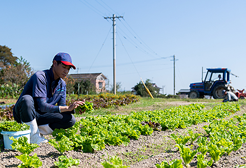 佐賀産季節の旬野菜15種類（農薬・化学肥料不使用）：B150-008