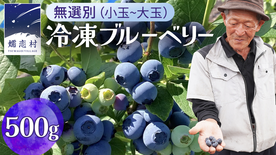 【 最短 7日以内 発送 】 冷凍 ブルーベリー 無選別（ 小玉 ～ 大玉 ） 500g 数量限定 国産 フルーツ スムージー 果物 くだもの 農家直送 スイーツ アイス ノーザンハイブッシュ系 ミッ