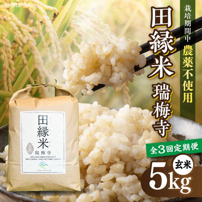 【ふるさと納税】【先行受付中】 【全3回定期便】 田縁米(でんえんまい)・瑞梅寺(ずいばいじ) 玄米 5kg 【2026年12月上旬順次発送】 糸島市 / NPO法人田縁プロジェクト 米 玄米 定期便[ATM008]5万8千円58000円