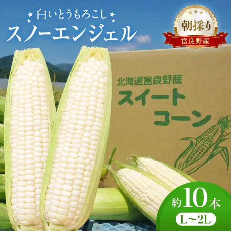 とうもろこし スノーエンジェル 白い 北海道産 とうもろこし【約10本 L〜2L】