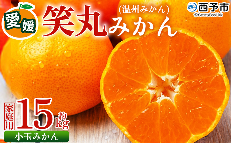 ＜愛媛県明浜産 笑丸みかん（温州みかん）約15kg 小玉サイズ＞ 家庭用 訳あり ワケアリ 果物 くだもの フルーツ ミカン 柑橘 特産品 笑丸 愛媛県 西予市