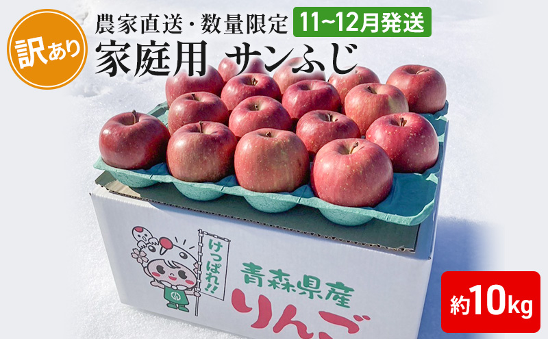 【 農家直送 数量限定 】 11～12月発送 家庭用 サンふじ 約 10kg 【 訳あり 】 果物 フルーツ 青森りんご シャキシャキ