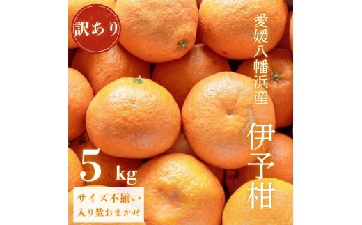 ＜爽やか香りと柔らかジューシーな果肉＞愛媛八幡浜産 訳あり 宮内伊予柑 5kg＜C20-56＞【1595886】 YWTI051