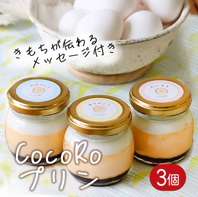 【ふるさと納税】CocoRoプリン3個セット（ギフト包装＋メッセージシール付き）｜茨城県 つくば市 プリン スイーツ 生クリーム カスタードクリーム バニラ 牛乳 卵 国産 甘味 お菓子 デザート ギフト 8000