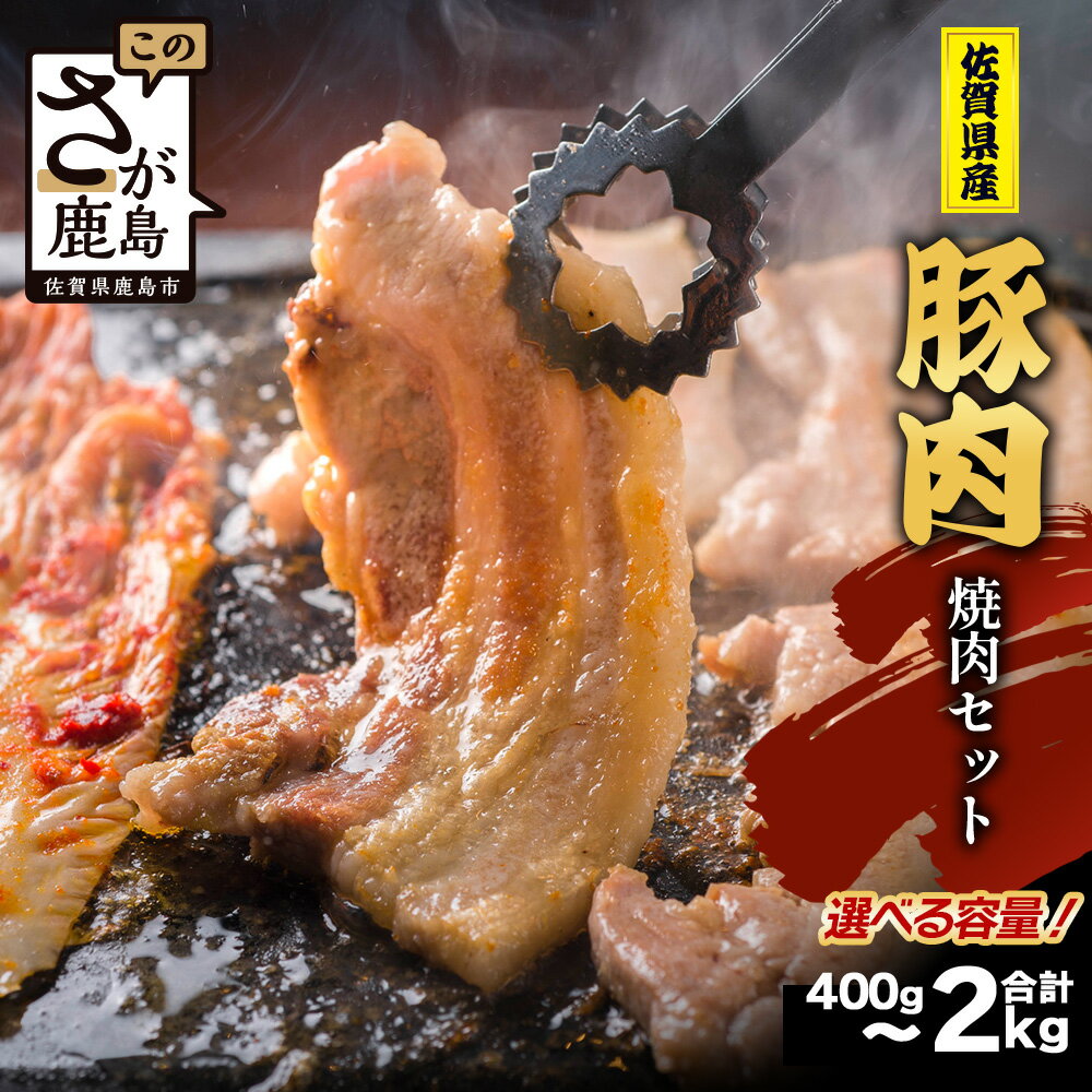 【ふるさと納税】内容量が選べる 佐賀県産 豚肉 焼肉セット 400g ～ 2kg お肉 豚 肉 焼き肉 やきにく ロース バラ スライス