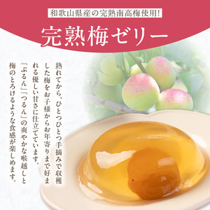 梅の花　梅ゼリー　12個入_梅ゼリー 95g × 12個 完熟 南高梅 まるごと 一粒 使用 優しい 甘さ 喉越し 爽やか とろける 食感 アレンジ シャーベット 梅酒ソーダ 梅 ゼリー おやつ デザ