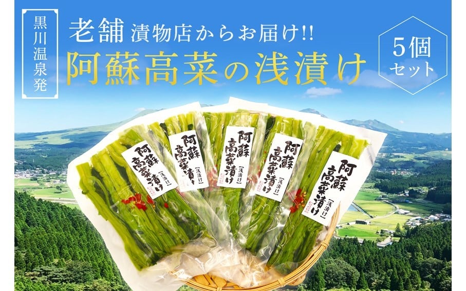 
            【黒川温泉発】阿蘇高菜の浅漬け（5個入） 阿蘇高菜 浅漬け 160g 5個 高菜 漬物 高菜漬け 高菜漬物 お取り寄せ ギフト 贈答用 黒川温泉 九州 熊本 阿蘇 南小国町 送料無料
          