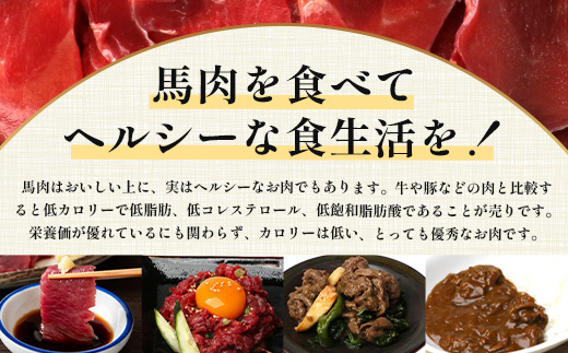 【 定期便 3回 】 熊本県 馬スジ 1㎏（ 500g×2 ） × 3回 【 合計 3kg 】 【 馬肉 すじ肉 大容量 本場 熊本県 馬 赤身 煮込み カレー シチュー 冷凍 真空 熊本 肥育 ヘル