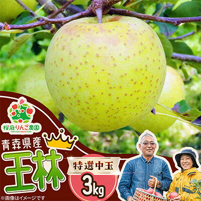 【ふるさと納税】王林特選中玉3kg【1789784】