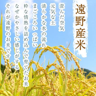 ふるさと納税 遠野市 【入金確認後、最短5日で出荷】 【令和7年産】つきあかり(精米) 岩手県遠野市産 5kg 河判 |  | 01