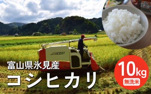 令和6年産 富山県氷見産 コシヒカリ 10kg 無洗米  | お米 選べる 精米 富山 氷見 米 数量限定 農家直送 節水 防災 新米