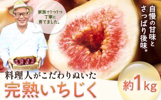 いちじく【2026年先行予約】料理人がこだわりぬいた 完熟いちじく1箱1kg ／ 無花果 イチジク 桝井ドーフィン はびいち農園《2026年8月上旬-10月中旬頃出荷》大阪府 羽曳野市 果物 フルーツ 送料無料 大阪府