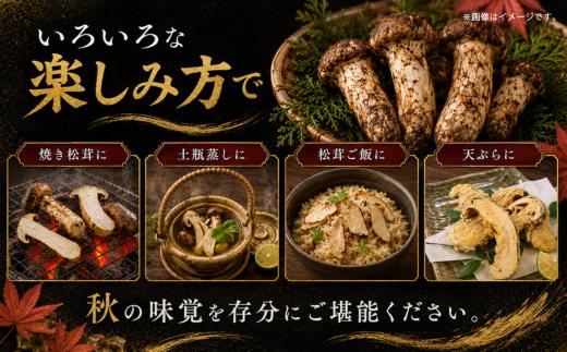【2027年発送先行予約】松茸 国産松茸 500g 天然松茸 国産天然松茸 岩手県産松茸 岩手町産松茸 まつたけ マツタケ 天然まつたけ 国産まつたけ 「先行予約」 国産 天然 きのこ 秋の味覚 旬 
