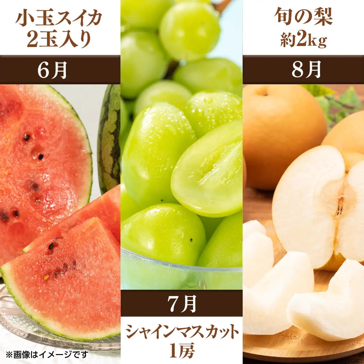 【先行予約】【全10回定期便】 プロが選ぶ！ 旬 の 果物 10ヶ月 定期便【くまふる】[ZBG086]