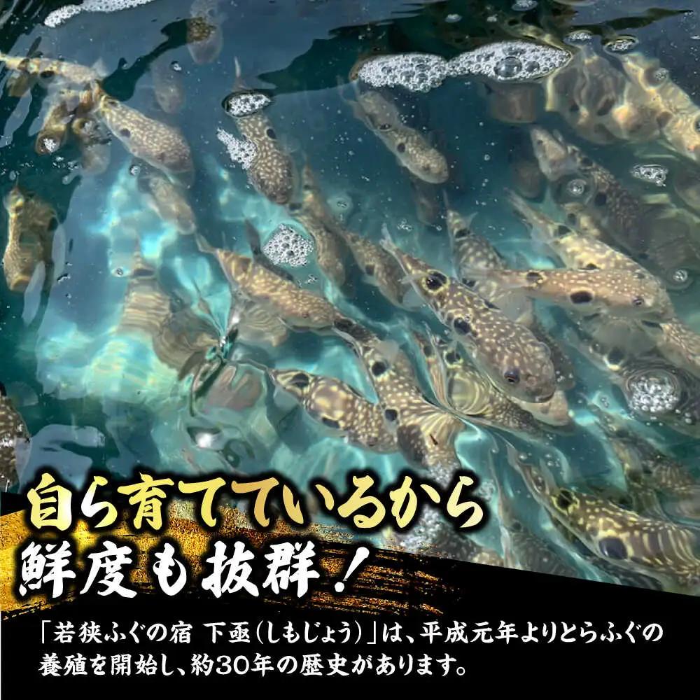 【着日指定可】若狭 ふぐ 極上セット 焼きふぐ付き 4人前 小浜市 / 下亟 [BFAF021] ふぐ