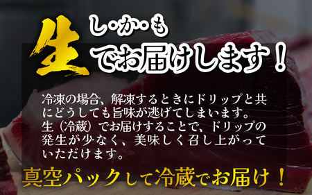 【冷蔵・指定日着可】生本マグロ大トロ 約250g 2～3人前 [A-066007] / 国産 まぐろ 鮪 さく 柵どり 冷蔵 真空パック ヘルシー 2人前 3人前 新鮮 刺身 丼