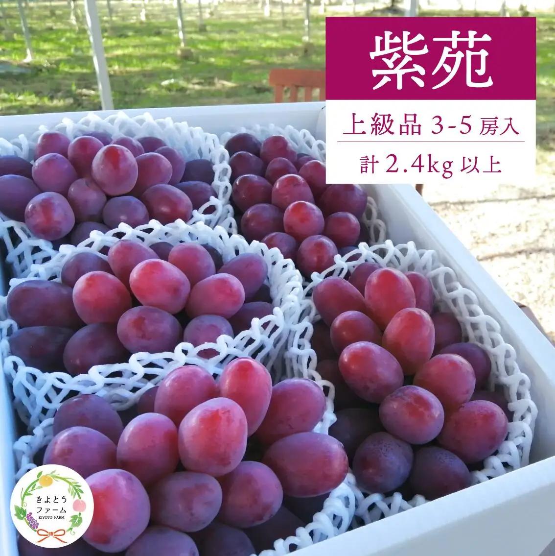 ぶどう 岡山県産 特選ぶどう紫苑3-5房2.4kg～ 【KF-B046-03】