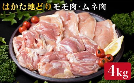 【鶏肉セット】はかた地どり もも肉 2kg / むね肉 2kg セット 糸島【糸島ミートデリ工房】 [ACA035] 鶏肉セット 鶏肉セット 鶏肉セット 鶏肉セット 鶏肉セット 鶏肉セット 鶏肉セット 