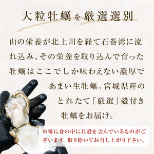 冷凍殻付き牡蠣　21個