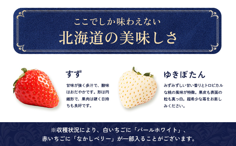 【北海道産】ゆきいちご（ゆきぼたん/紅ほっぺ）白×ＭＩＸ　2Ｐセット　各250g×2 計500g【59002】_イメージ3