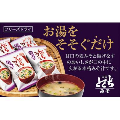 ふるさと納税 山口市 とくぢ味噌フリーズドライみそ汁(なす)30ヶ入 D499