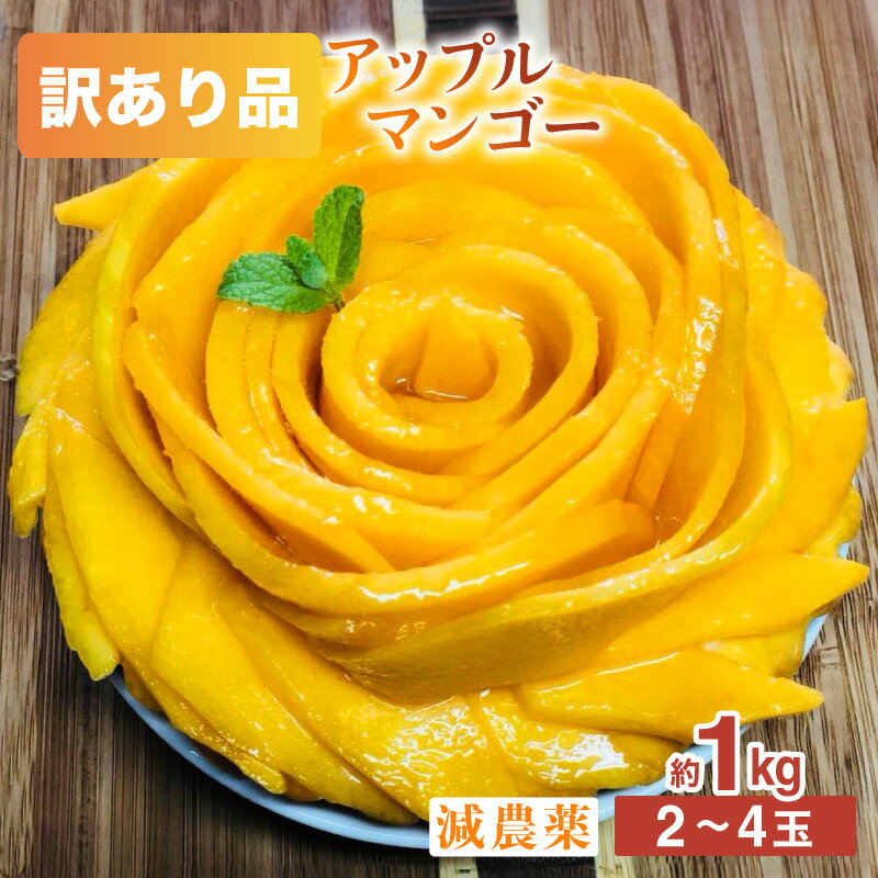 【ふるさと納税】【訳あり】減農薬 アップルマンゴー 約1kg 2〜4玉 【2025年7月上旬以降順次発送】アナナス農園 完熟 マンゴー 果物 フルーツ