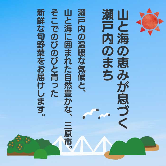【3か月定期便】道の駅セレクト 旬野菜つめあわせ やさい 野菜 詰め合わせ 7～10品目 新鮮 国産 健康 ヘルシー サラダ 鍋 季節 043041