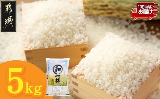 
                  都城産と国産のブレンド米 5kg≪みやこんじょ特急便≫_AA-15-014-5kg-Q_(都城市) お米 国産ブレンド米 5kg袋 精米
                