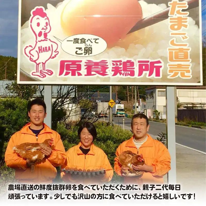琵琶湖の卵　Ｃ12卵　6個入り5パックギフト((25個 ＋ 卵割れ補償 5個)) [B-01601] | 卵