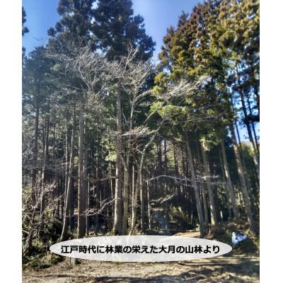 ふるさと納税 大月市 杉・檜のスウェーデントーチ　高さ30cm以上　幅15cm〜20cm |  | 02