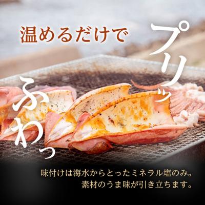 ふるさと納税 鰺ヶ沢町 炭火焼きイカ 5パック セット [53841271] |  | 02