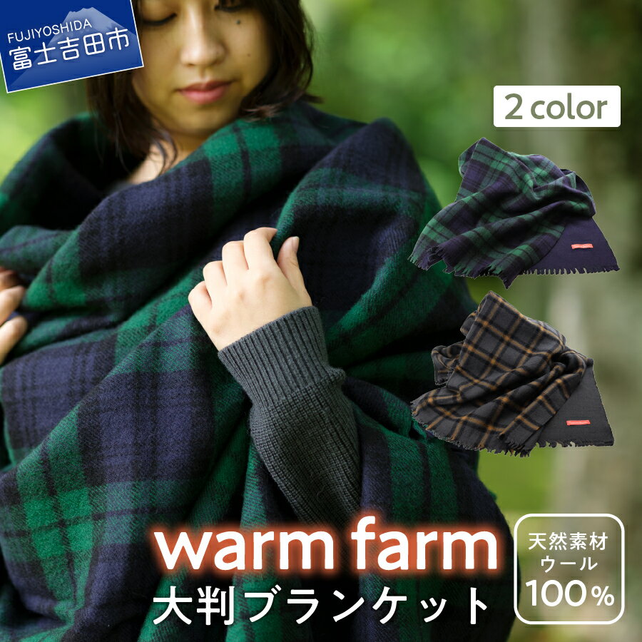 【ふるさと納税】 光吸収発熱ウール ウォームファーム 大判ブランケット 男女兼用 フリーサイズ グレーチェック ブラックウォッチ レディース 日用品 毛布 ファッション 雑貨 バナウォーム アウトドア キャンプ 暖かい