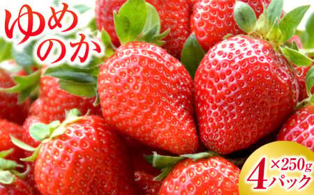 長崎産 ゆめのか イチゴ（250g×4パック） 苺 いちご イチゴ ストロベリー 果物 フルーツ 生食用 製菓用 パフェ ケーキ【2026年1月上旬～2月下旬発送予定】