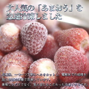 【冷凍】 いちご あまおう 限定  苺 イチゴ 合計1500g 約750g×2 ブランド ストロベリー 博多 大人気 限定品 高級 フルーツ 果物 くだもの 特別栽培 プレゼント 九州 福岡 宮若市 