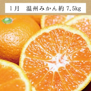 定期便【3か月】たっぷり届く♪ 訳ありみかんの定期便【tkb113】