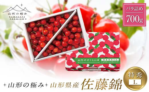 
                  【山形の極み】山形県産 さくらんぼ 佐藤錦 700g 特秀 L バラ詰め 2026年6月中旬から順次発送 F2Y-6287
                