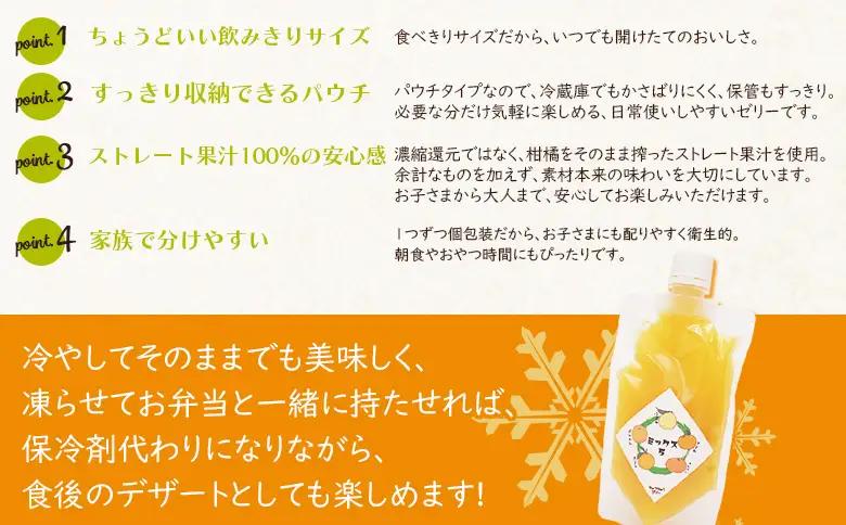 ＜つるんと食感の飲む柑橘ゼリー 10個＞『1か月以内に順次発送予定』果物ゼリー くだもの ゼリー パウチ みかん 蜜柑 デザート スイーツ おやつ のむ ストレート 果汁 100％ 食感 ぷるぷる お