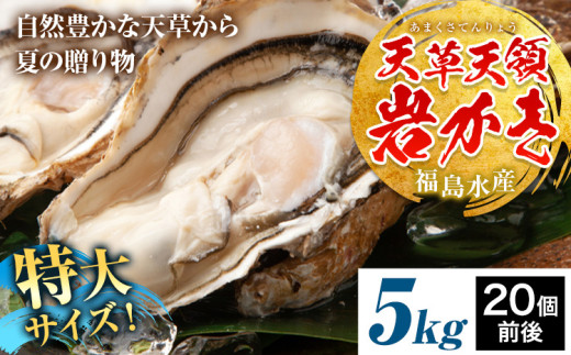 天領岩牡蠣 約5kg 福島水産《30日以内に出荷予定(土日祝除く)》熊本県 苓北町 牡蠣 かき カキ 岩カキ 岩ガキ 貝 BIG ビッグ 生食 バーベキュー 夏天草 天領 苓北 熊本 旬 シーズン 送料無料【配送不可地域あり】